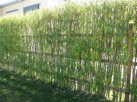 4 Beautiful Living Willow Fence Designs