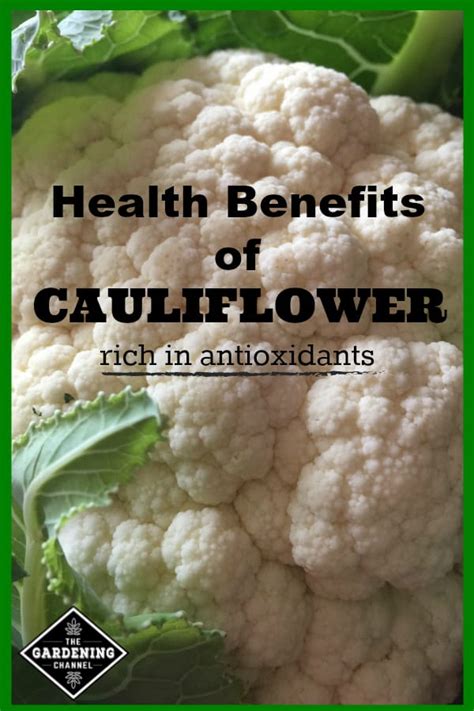 Health Benefits of Cauliflower - Gardening Channel