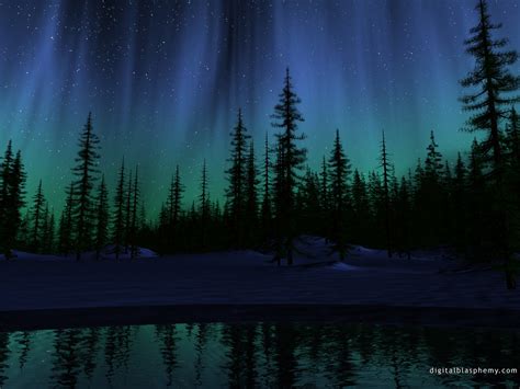 Imágene Experience: Aurora boreal más allá del bosque - Ilustración Digital