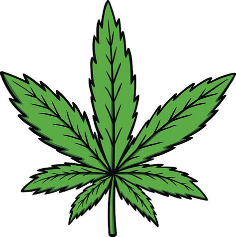 Cartoon Of A Cannabis Plant Illustrations, Royalty-Free Vector Graphics ...