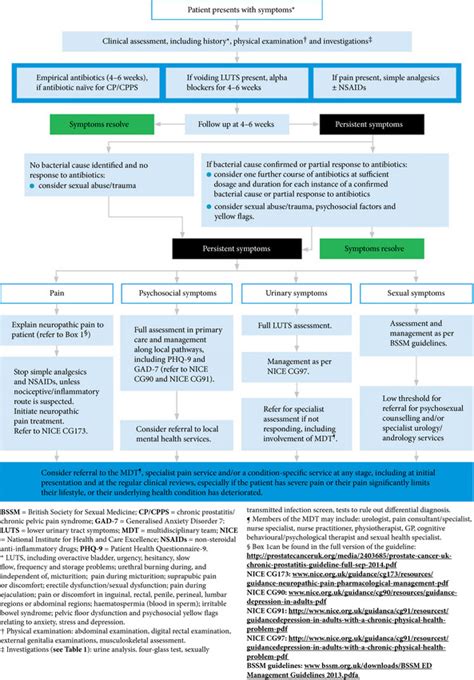 Treatment algorithm for the diagnosis and management of CBP and ...