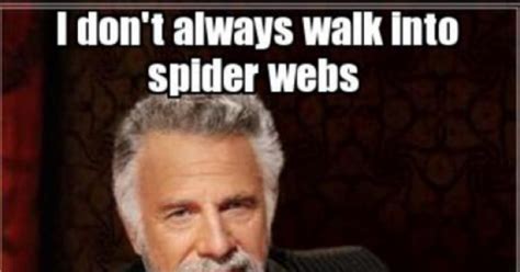 Spider webs - Meme Picture | Webfail - Fail Pictures and Fail Videos