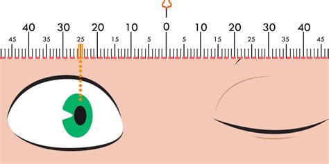 How To Measure Your Pupillary Distance | What is PD | Payne Glasses