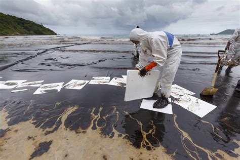 Sorbent Materials For Oil Spills Store Deals | elevate.in