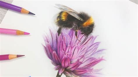 How To Draw a BEE and Flower in COLORED PENCIL - YouTube