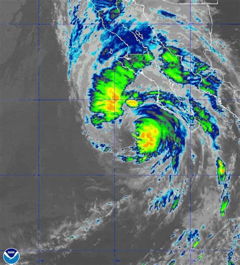 LA Area Prepares for Hurricane Hilary - Larchmont Buzz - Hancock Park News