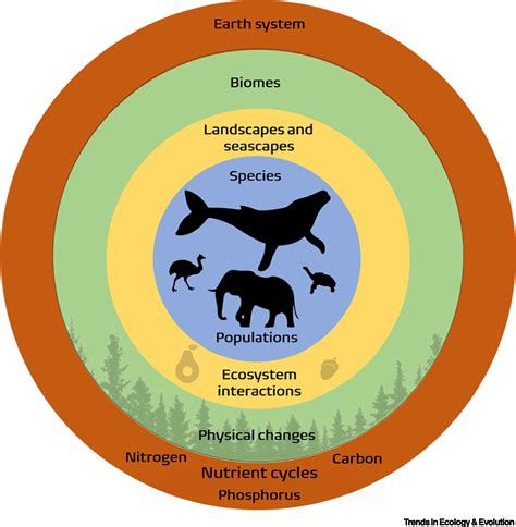 Biodiversity Conservation and the Earth System: Mind the Gap: Trends in Ecology & Evolution