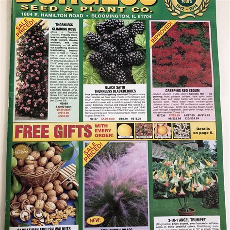 Free Flower Seeds Samples 2018 | Best Flower Site