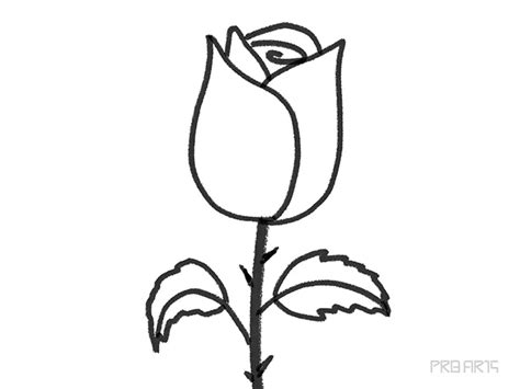 Easy Rose Drawing - Step-by-Step