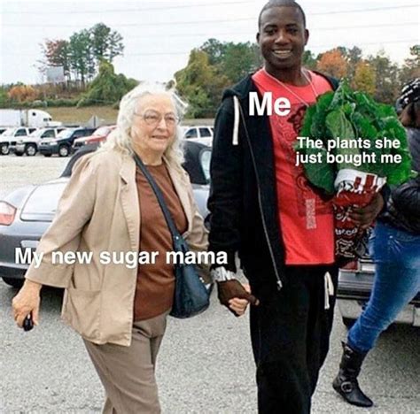 Best Sugar Momma Memes in 2024