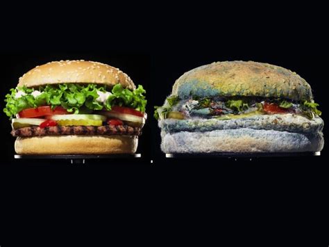 Burger King’s New Ad Campaign Features a Moldy Whopper, and We Can't Look Away | Burger, Food ...