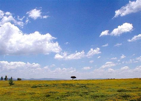 The Mexican Plateau: A Diverse Landscape & Cultural Heartland | LAC Geo