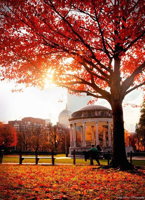 16 Boston in Fall ideas | boston in the fall, boston, in boston