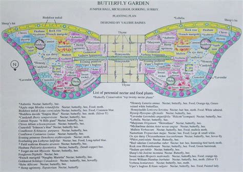 Butterfly garden design - lodgelassa