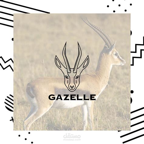 Minimal gazelle logo design | مستقل