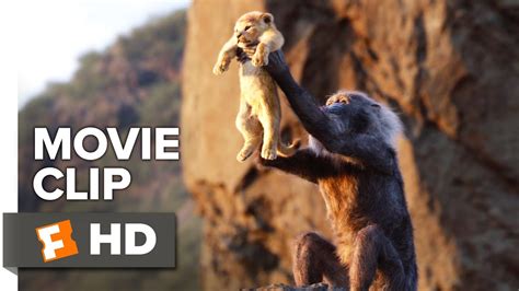 The Lion King Movie Clip - Circle of Life (2019) | Movieclips Trailers - YouTube