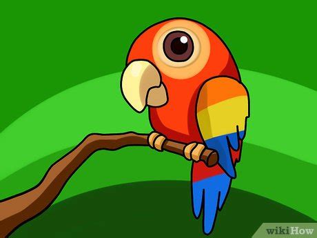 4 Ways to Draw a Parrot - wikiHow