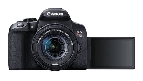 Canon Rebel T8i Review (good all-rounder for photography)