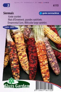 Ornamental Corn, Multicolor large varieties - Annual varieties ...