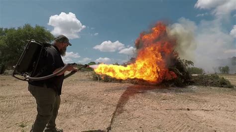 Elon Musk's "Not a Flamethrower" vs. an Actual Flamethrower