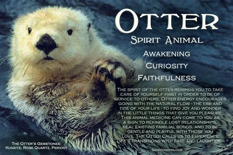 Pin by Lisa S on My spirit animal | Otter spirit animal, Spirit animal, Spirit animal meaning