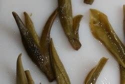 Dragon Well Tea (Longjing) Best Green Tea Revealed