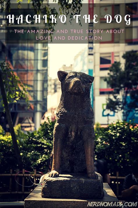 The Amazing And True Story Of Hachiko The Dog