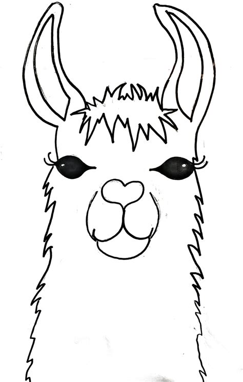 guided drawing llama face - Google Search | Llama painting, Painting templates, Canvas painting