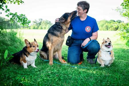 Social Obedience Group - A Better Companion Dog Training