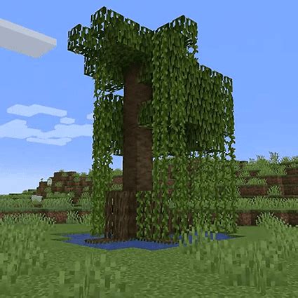 Mangrove Trees in Minecraft - Apex Hosting