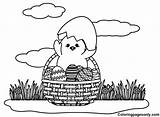 Easter Chick Coloring Pages Printable For Free Download sketch template