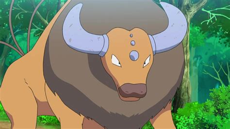 Why US Pokémon Fans Never Saw Ash Catch His Tauros