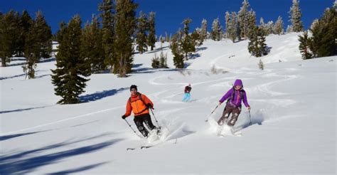 How To Ski Powder (Practical Tips for Beginners) | New To Ski