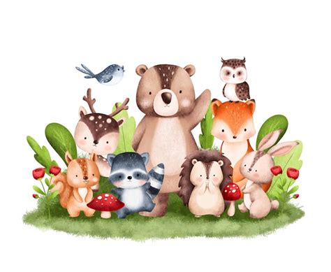 Premium Vector | Watercolor Illustration Woodland Animals Illustration