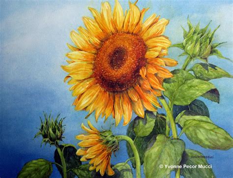 Sunflower Watercolor Painting at GetDrawings | Free download