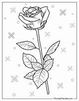20 Rose Coloring Pages Free PDF Printables sketch template