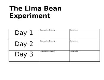 Lima Bean Experiment by Creations from the Heart | TpT