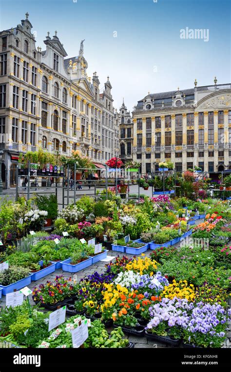 Flower and plant market at Grand Place in Brussels City, Belgium Stock Photo - Alamy