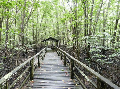 Kota Kinabalu Wetland Centre - All You Need to Know BEFORE You Go (2025)