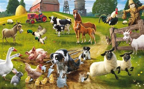 Farm Animals Background