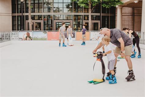 Indoor Ice Rink Chicago — Ice Skating Rink — Synthetic Ice Rink