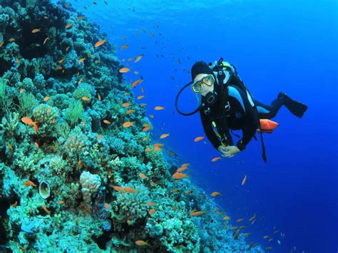 The best scuba diving spots in the world | Times of India Travel