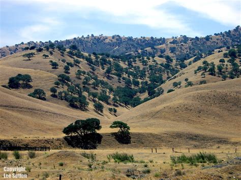 California Hills | Oak Woodlands | Lee Sutton | Flickr