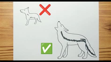 How to draw A COYOTE Easy for kids - YouTube