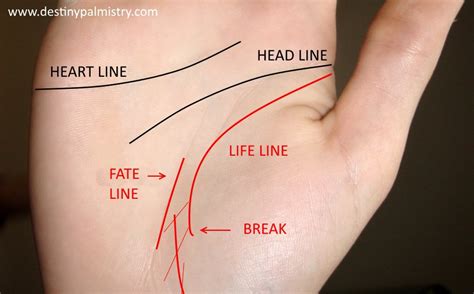 LA SOLIDARIDAD: Broken Life Line Meaning in Palm Reading