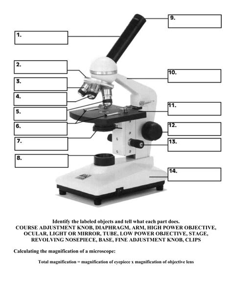 Microscope Parts and Functions