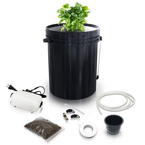 How to choose the best hydroponic bucket system for you – Science in Hydroponics
