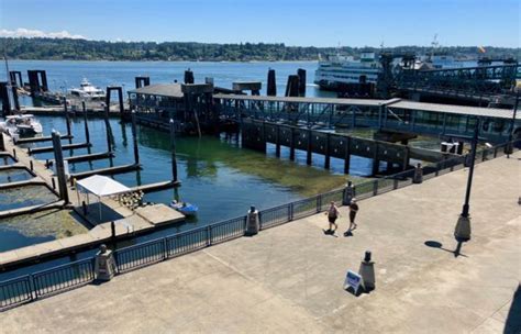 Seattle to Bremerton Ferry - Car/Passenger & Fast Ferry