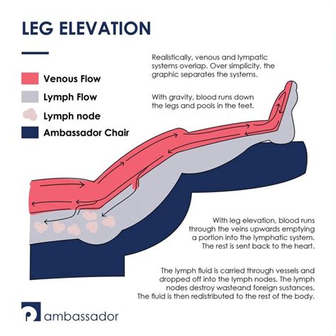 How Does Leg Elevation Reduce Lymphedema? - Ambassador Products