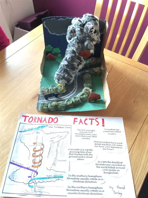 Tornado school project - year 4 Stem Fair Projects, Earth Science Projects, School Projects ...